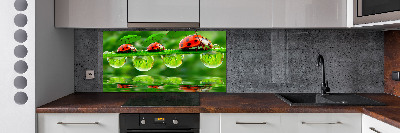 Cooker splashback Ladybugs