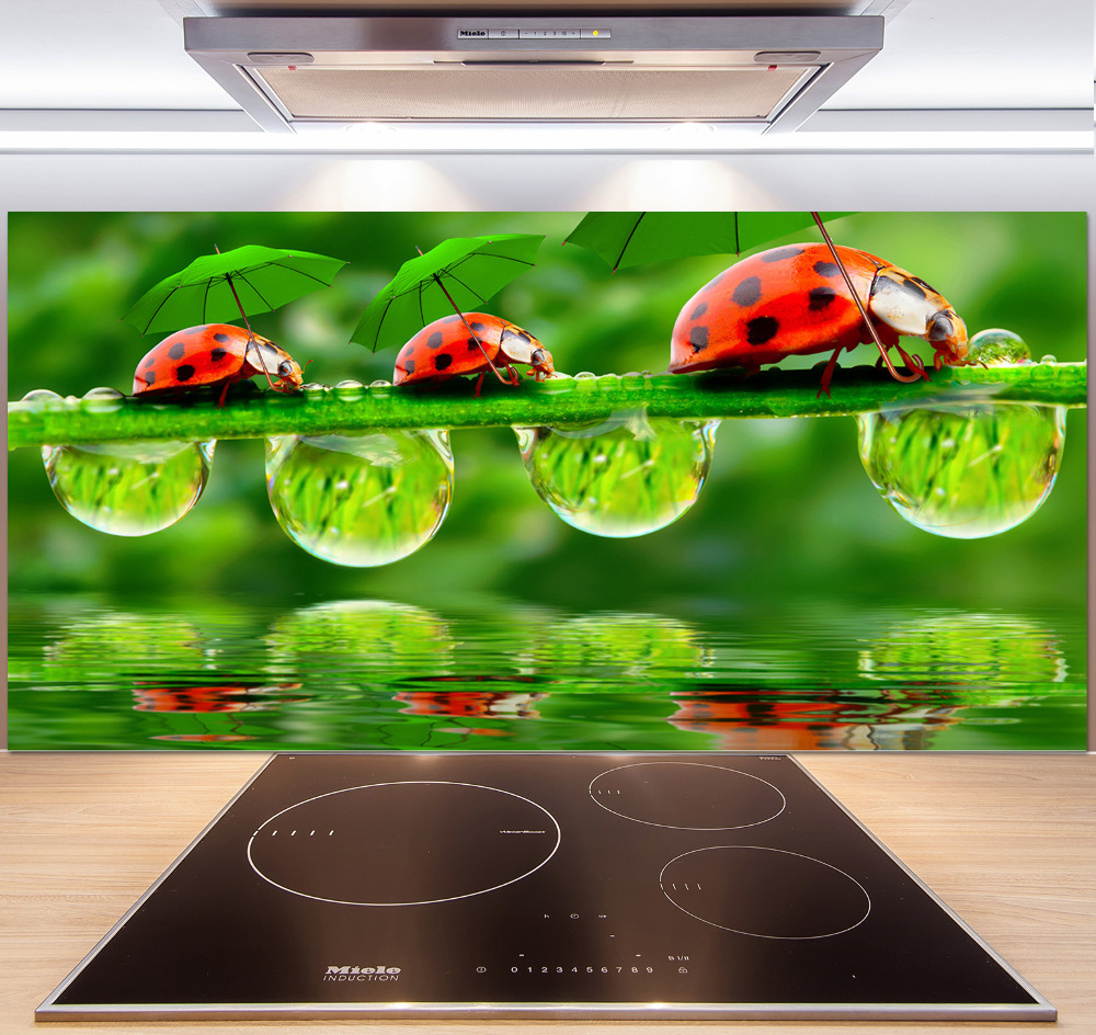 Cooker splashback Ladybugs