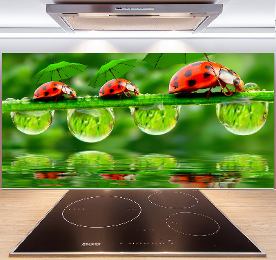 Cooker splashback Ladybugs