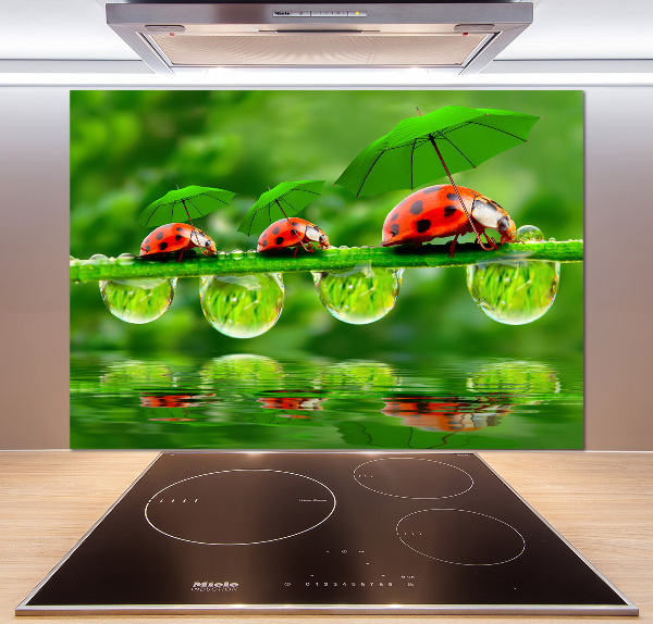 Cooker splashback Ladybugs