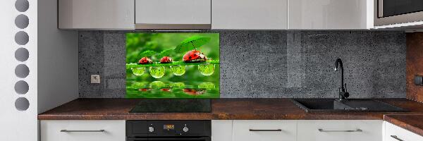 Cooker splashback Ladybugs