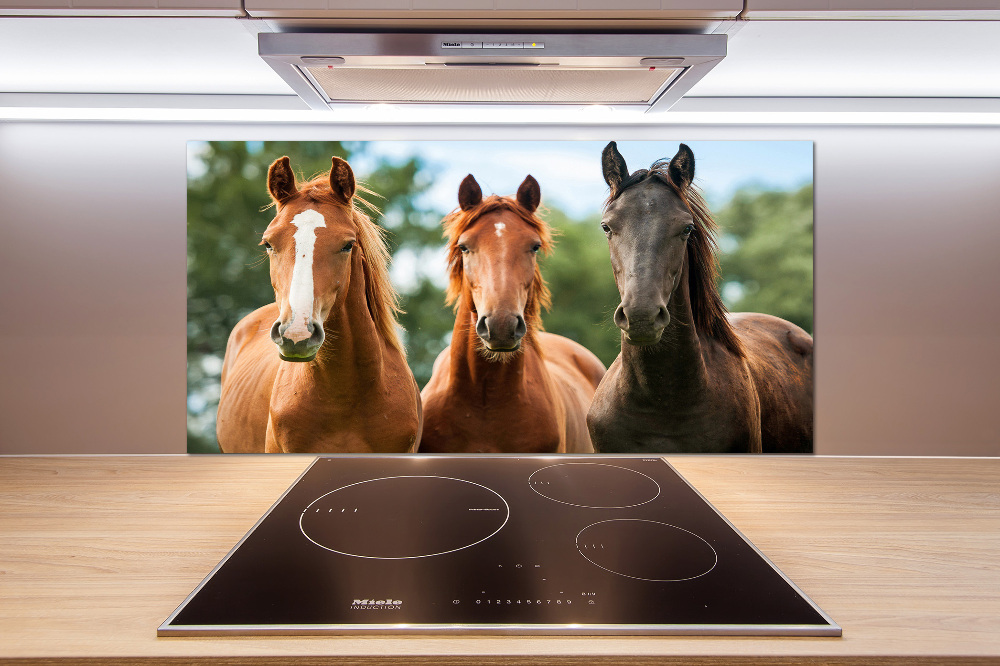 Cooker splashback Three horses