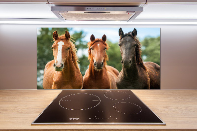 Cooker splashback Three horses