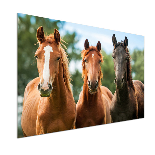 Cooker splashback Three horses