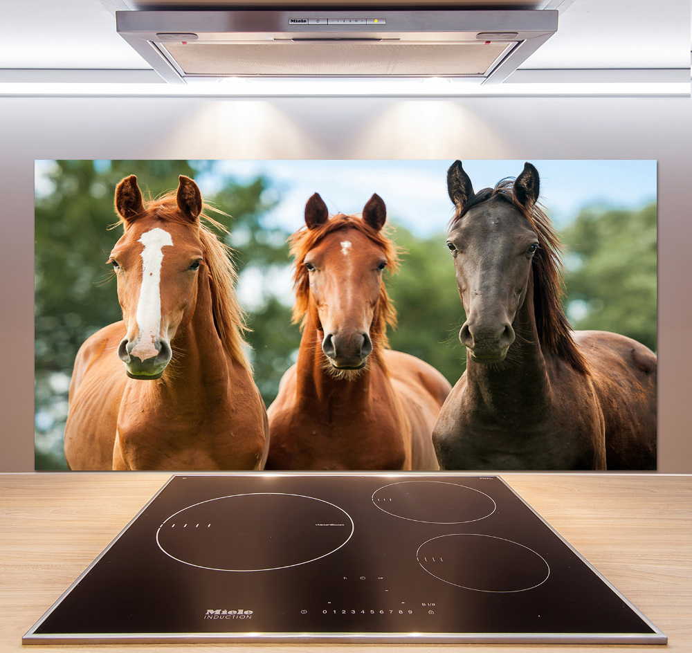 Cooker splashback Three horses