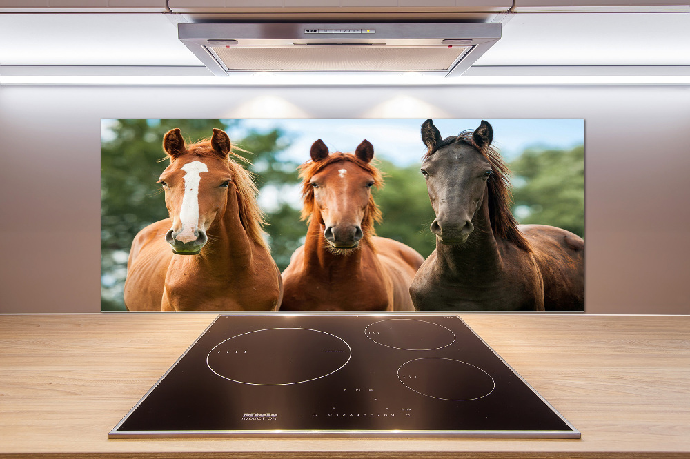 Cooker splashback Three horses