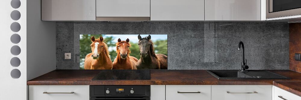 Cooker splashback Three horses