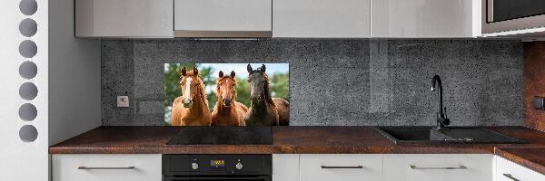 Cooker splashback Three horses