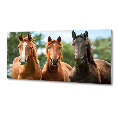 Cooker splashback Three horses