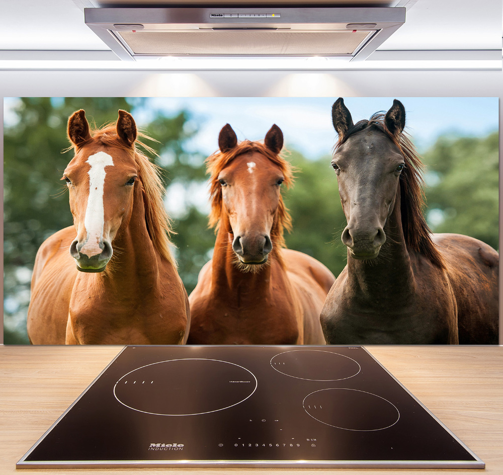 Cooker splashback Three horses