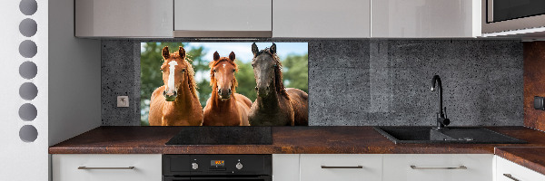 Cooker splashback Three horses