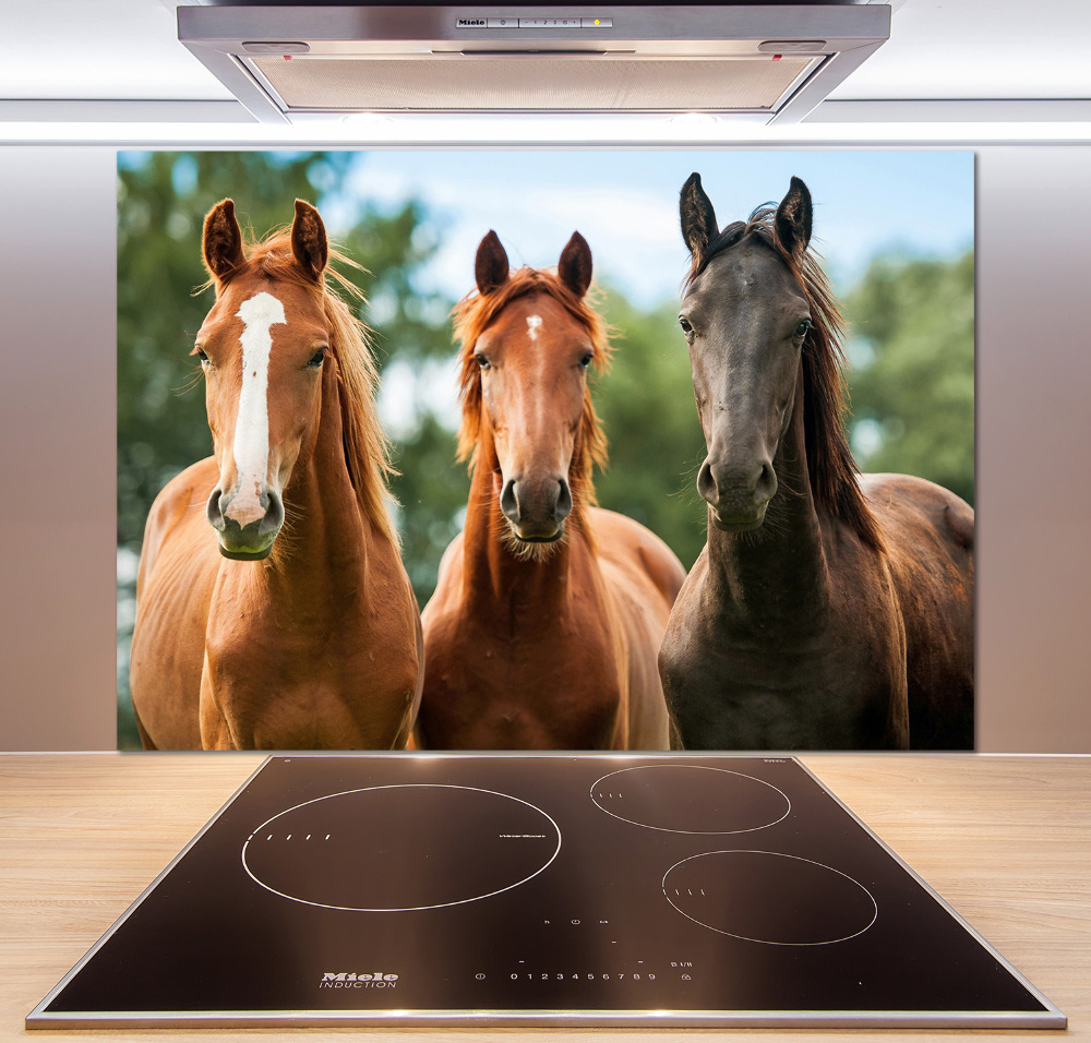 Cooker splashback Three horses