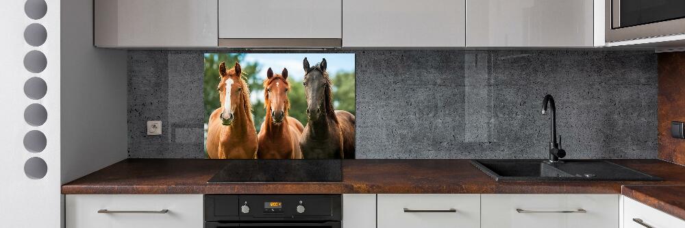 Cooker splashback Three horses