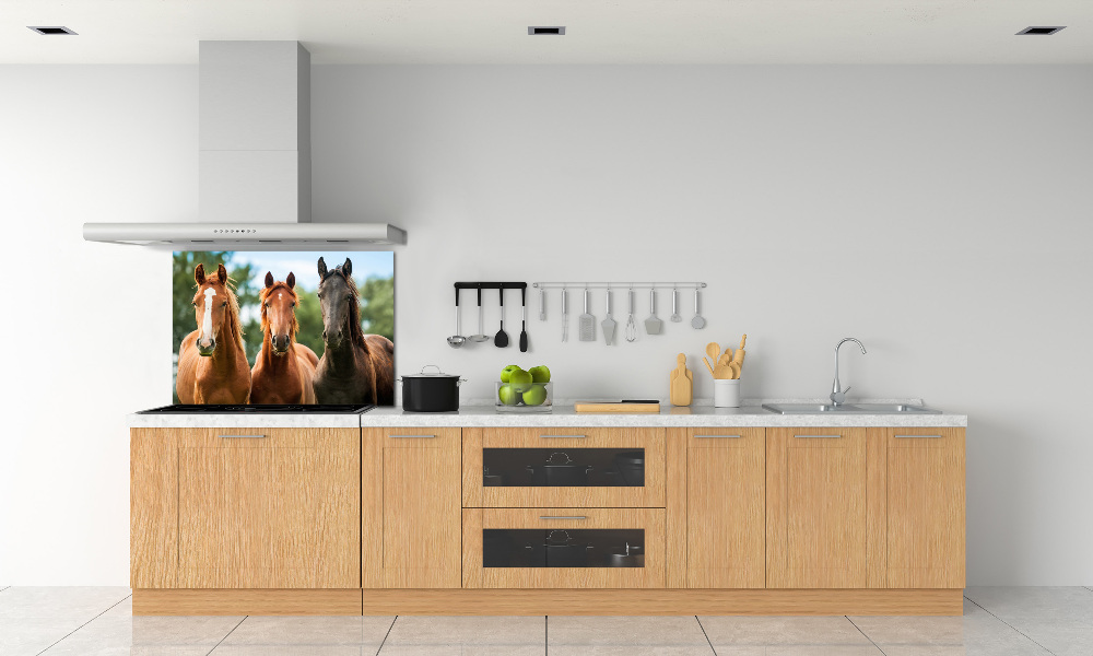 Cooker splashback Three horses