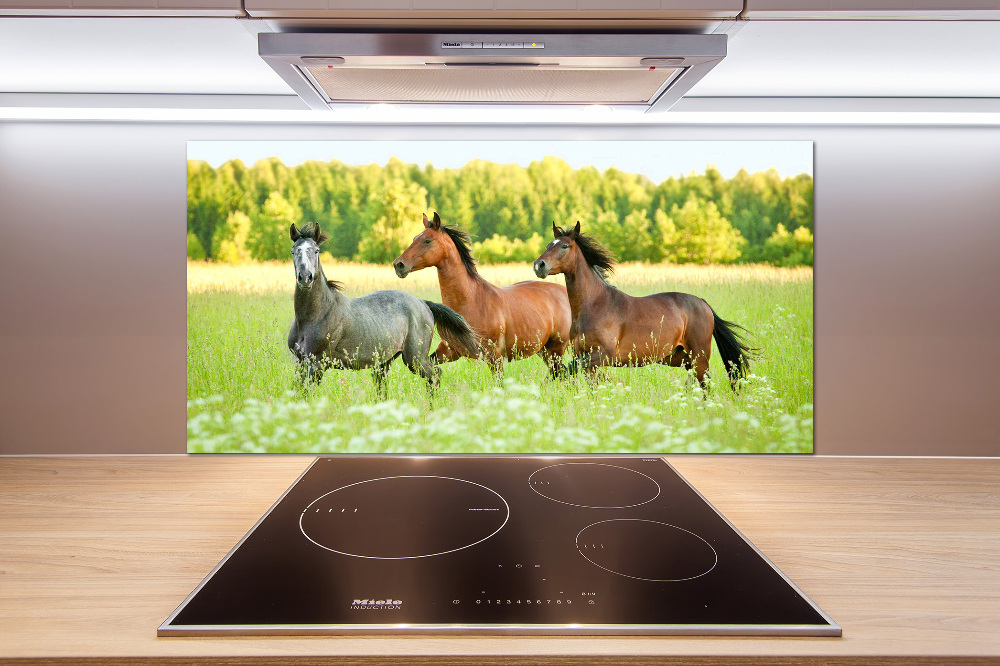 Cooker splashback Horses at gallop