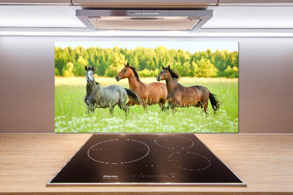 Cooker splashback Horses at gallop