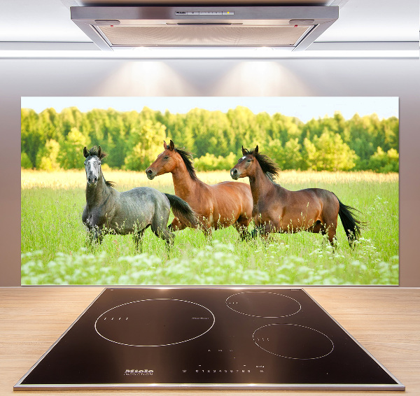 Cooker splashback Horses at gallop