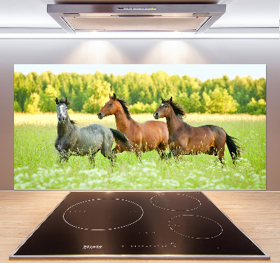 Cooker splashback Horses at gallop