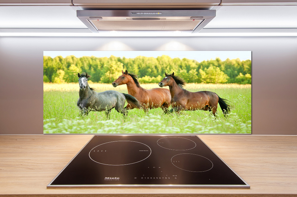 Cooker splashback Horses at gallop