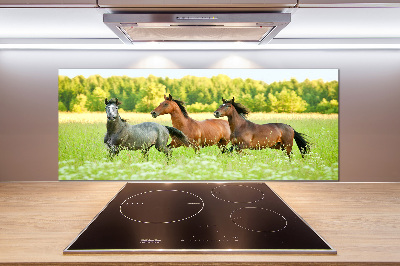 Cooker splashback Horses at gallop