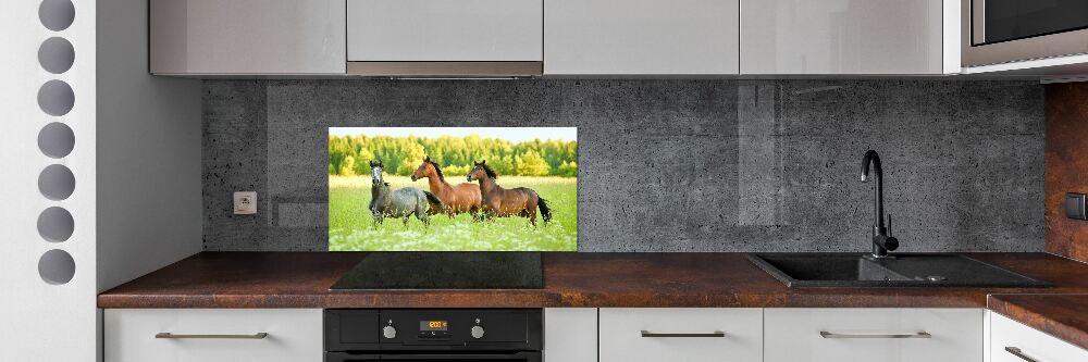 Cooker splashback Horses at gallop