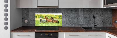 Cooker splashback Horses at gallop