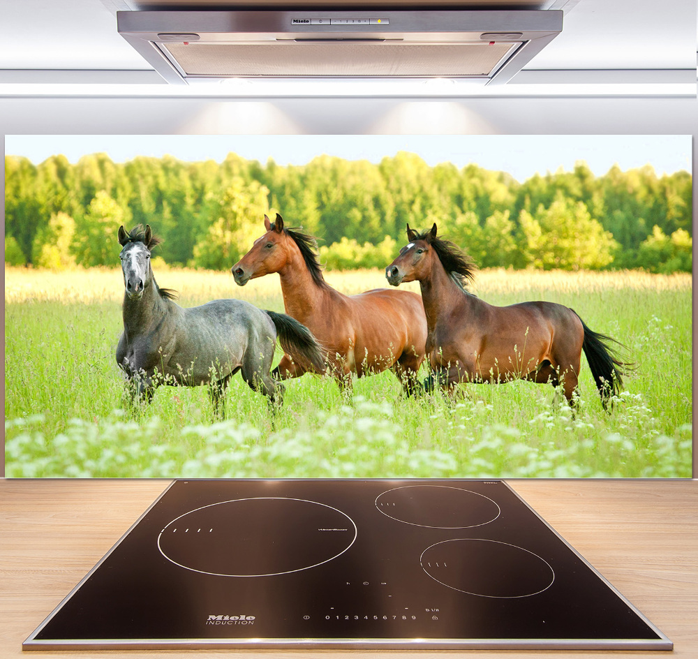 Cooker splashback Horses at gallop