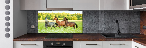 Cooker splashback Horses at gallop