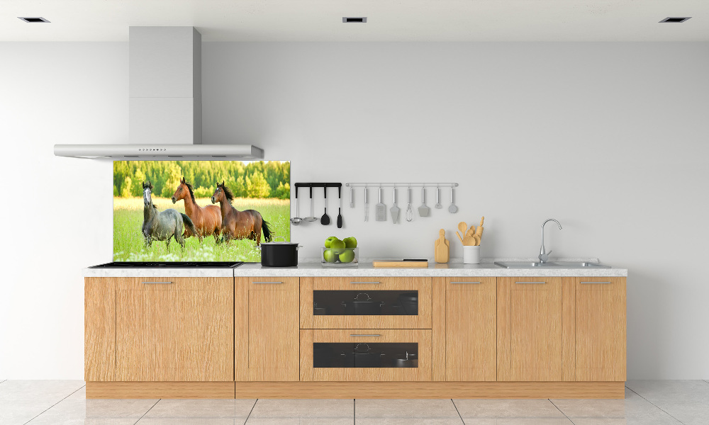 Cooker splashback Horses at gallop