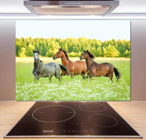 Cooker splashback Horses at gallop