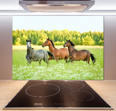 Cooker splashback Horses at gallop