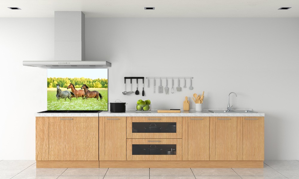 Cooker splashback Horses at gallop