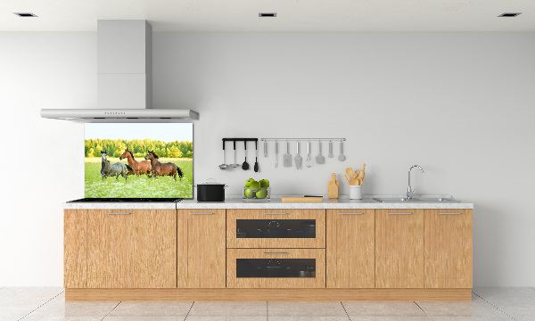 Cooker splashback Horses at gallop