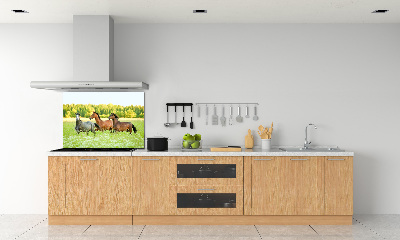 Cooker splashback Horses at gallop