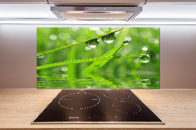 Kitchen wall panels Drops on the grass