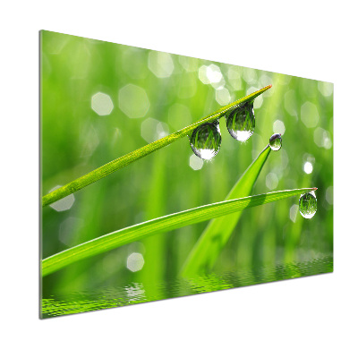 Kitchen wall panels Drops on the grass