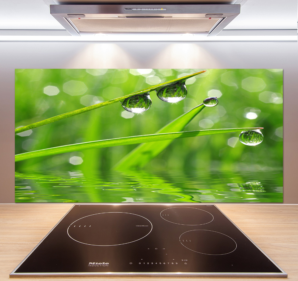 Kitchen wall panels Drops on the grass