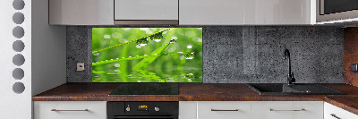 Kitchen wall panels Drops on the grass