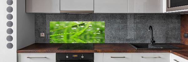 Kitchen wall panels Drops on the grass