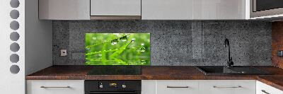 Kitchen wall panels Drops on the grass