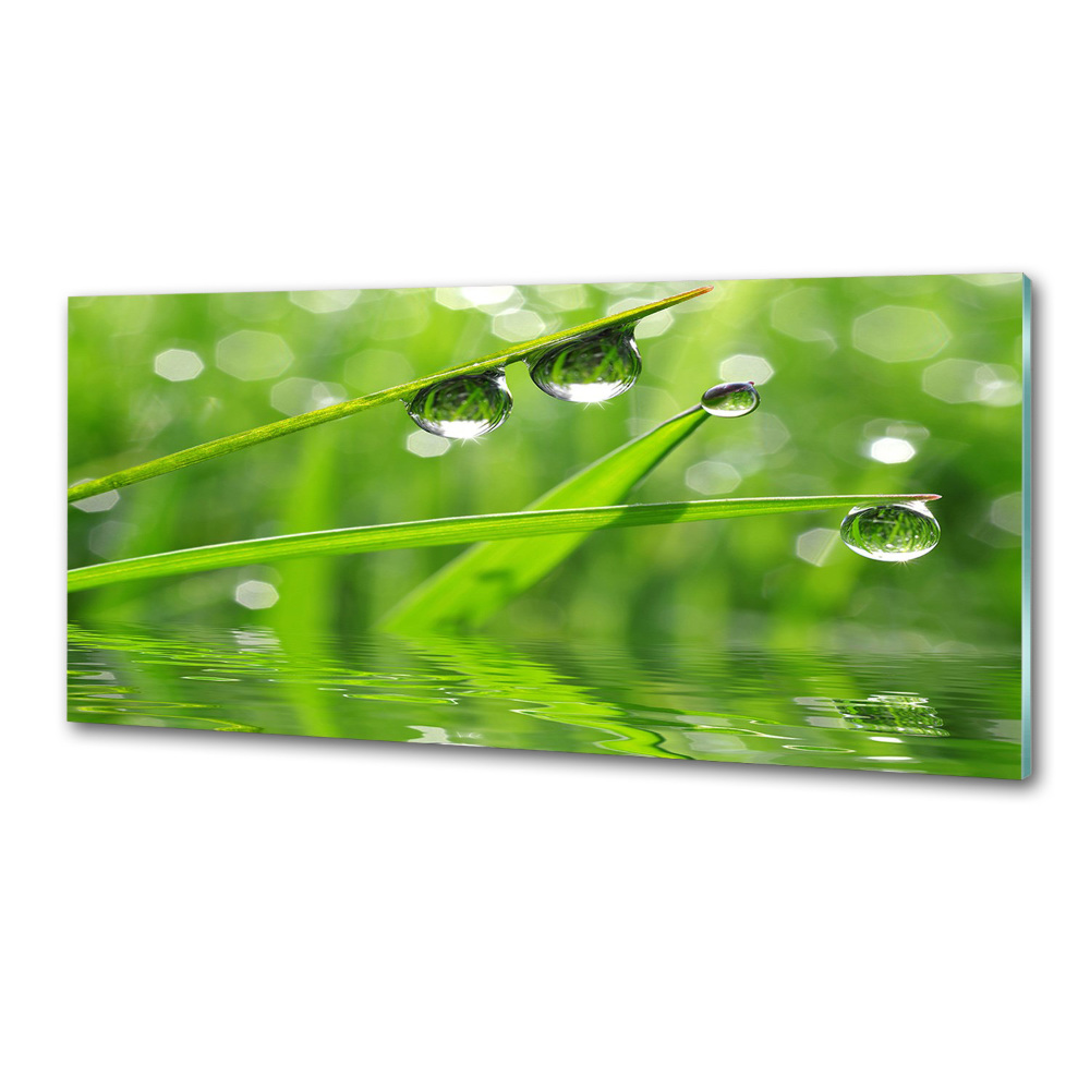 Kitchen wall panels Drops on the grass