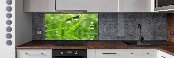 Kitchen wall panels Drops on the grass