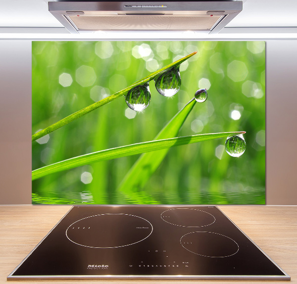 Kitchen wall panels Drops on the grass