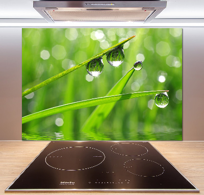 Kitchen wall panels Drops on the grass