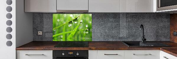 Kitchen wall panels Drops on the grass