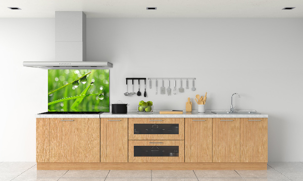 Kitchen wall panels Drops on the grass