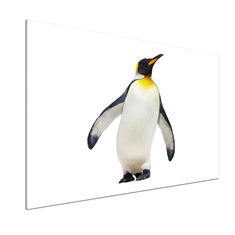 Glass splashback Penguin