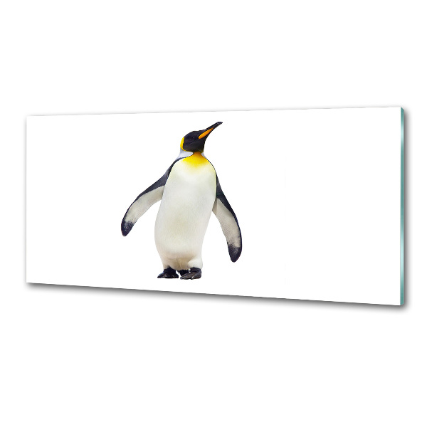 Glass splashback Penguin