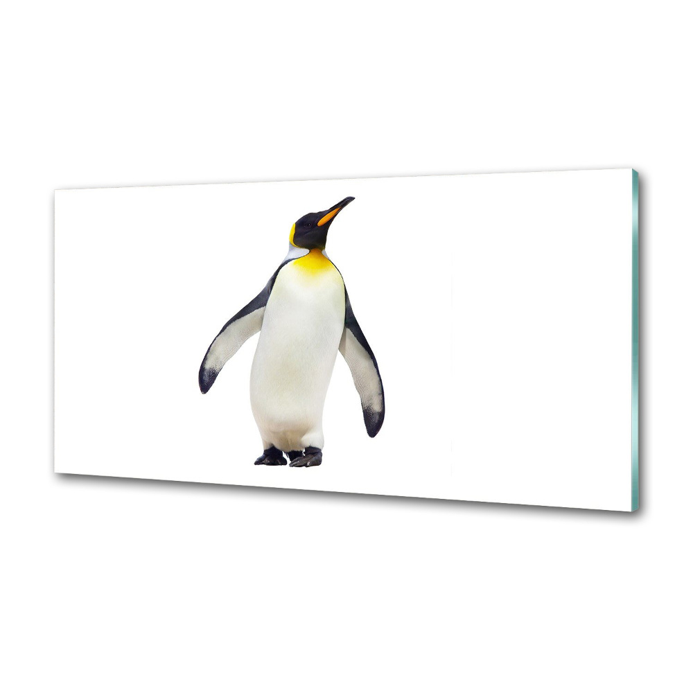 Glass splashback Penguin