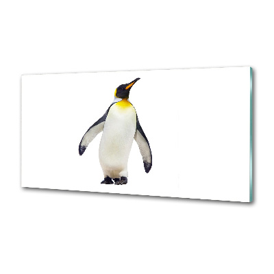 Glass splashback Penguin